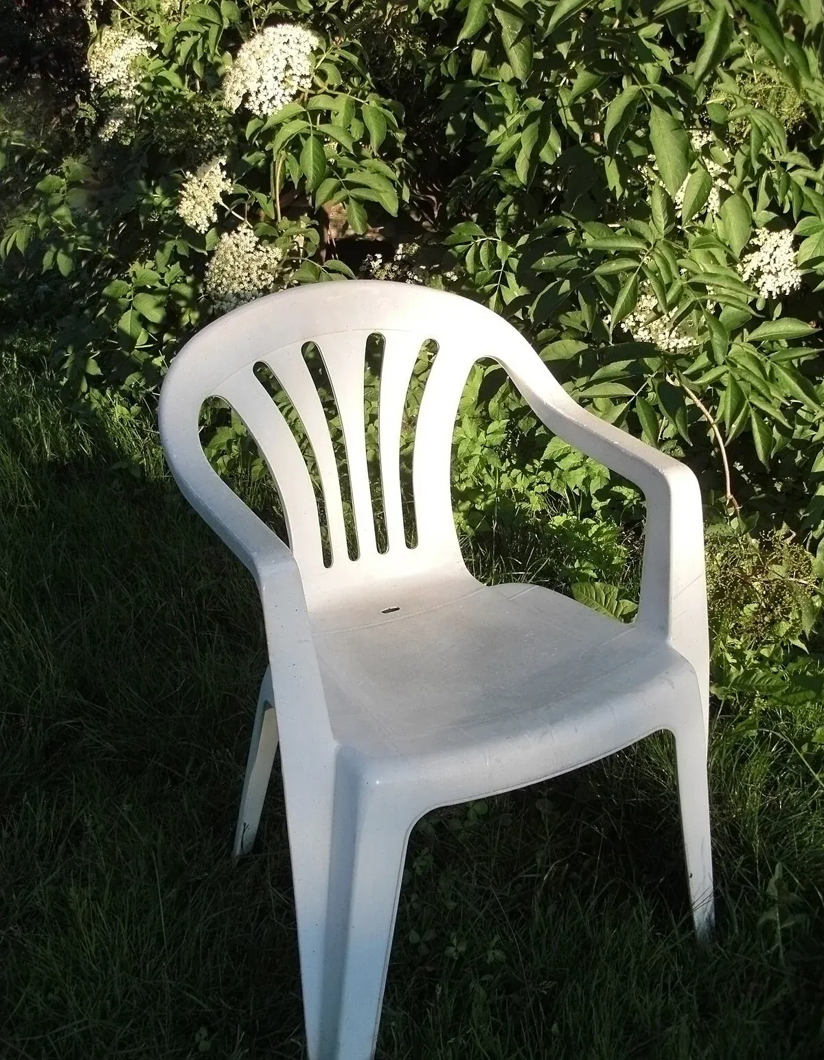 Monobloc Chair